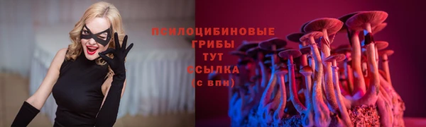 кокаин перу Снежногорск
