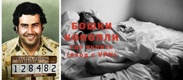 PSILOCYBIN Снежинск