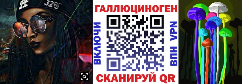 Псилоцибиновые грибы GOLDEN TEACHER  где найти   Стародуб 